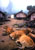 Karen village, Thailand